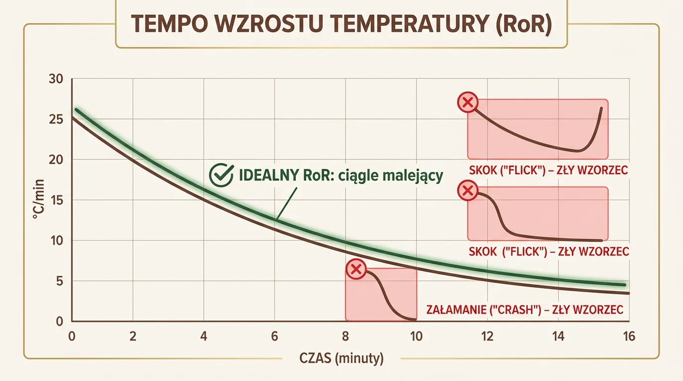 Krzywa Rate of Rise (RoR) na wykresie palenia kawy — płynnie malejąca linia i przykłady RoR crash oraz RoR flick