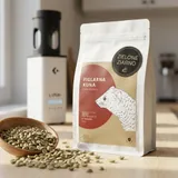 Figlarna Kuna — Zielone Ziarno — zdjęcie 3