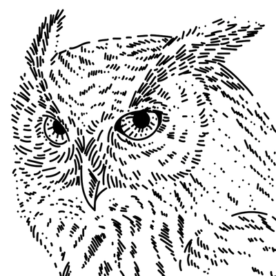 Mądra Sowa - kawa dla nauczyciela