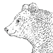 Szarmancki Niedźwiedź