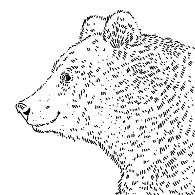 Szarmancki Niedźwiedź