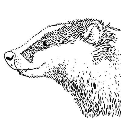 Szykowny Borsuk — bestseller do Siemens EQ